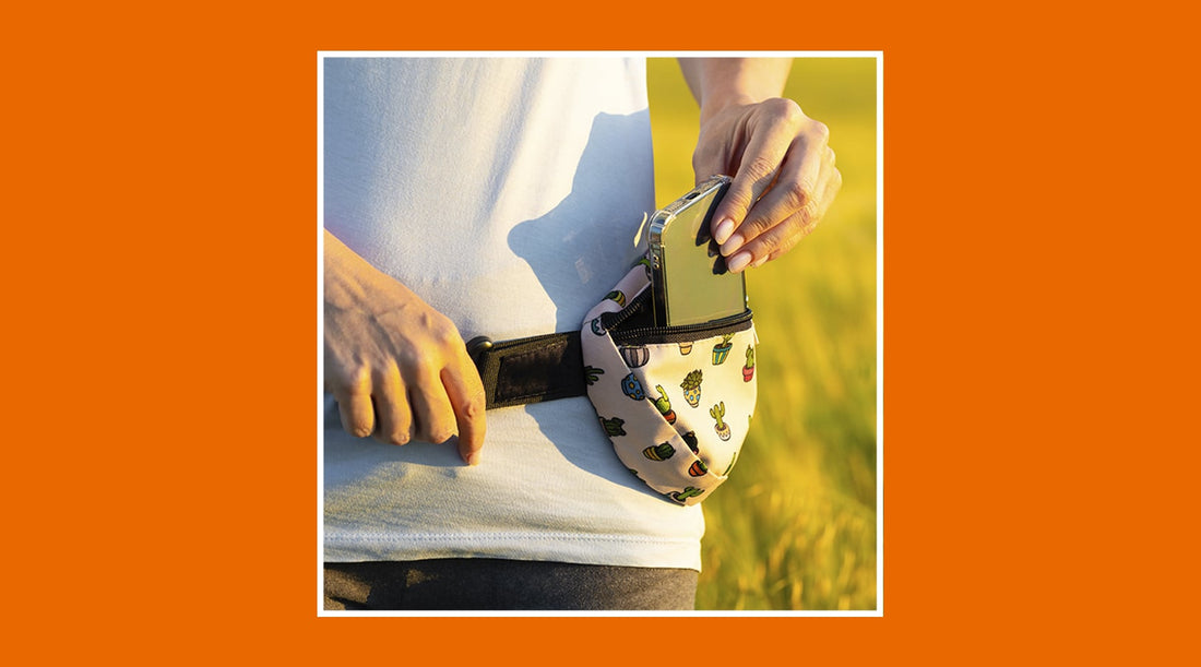 Waist bag or purse: which is safer to carry your items - grandgoldman.com