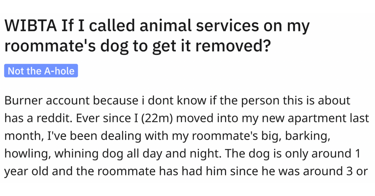 Redditor Asks If It Is Wrong To Call Animal Services And Getting Roommate’s Dog Removed - grandgoldman.com