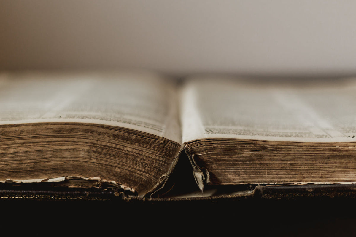 In Plane or On Plane: The Grammar Rule Most People Get Wrong