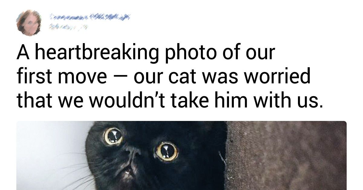 20 Adorable Pictures Of Pets That Will Warm Your Heart - grandgoldman.com