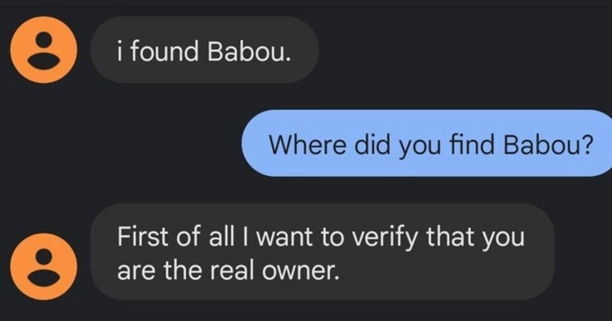 Scammer Claims To Have Found Missing Cat, Gets Trolled To Oblivion