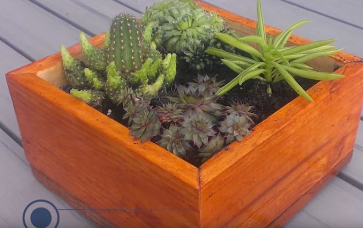 Renew your garden with these practical wooden planters - grandgoldman.com