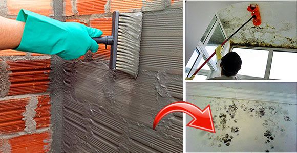 3 definitive ways to remove moisture from walls! - grandgoldman.com