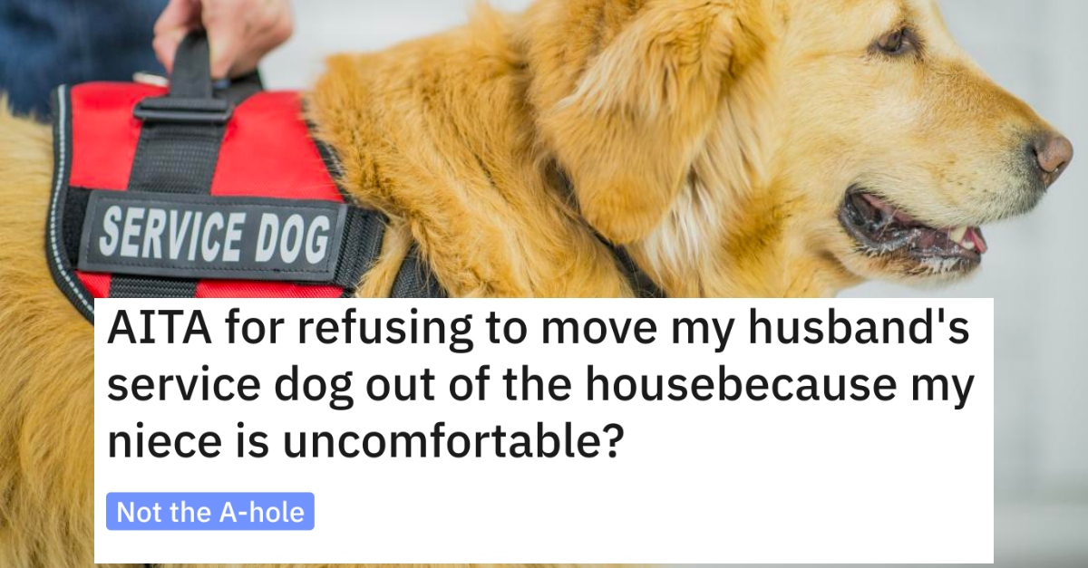 Niece Complains That Service Dog Is Making Her Uncomfortable, Gets A Reality Check From Aunt - grandgoldman.com