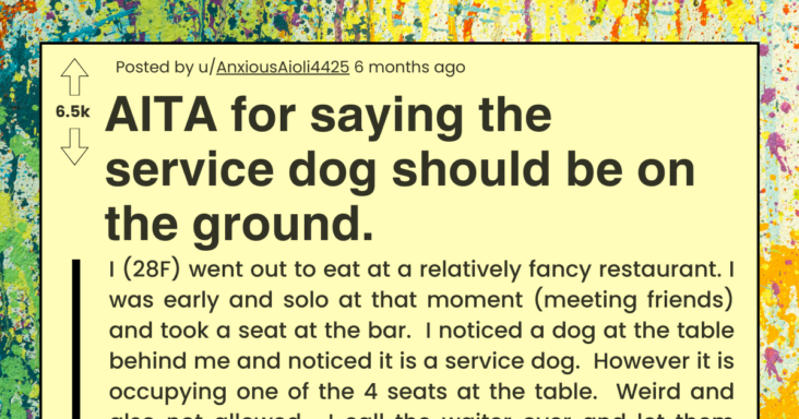 Restaurant Owner Removes Customer For Bother Another Customer With Service Dog Seated On Chair Instead Of Floor