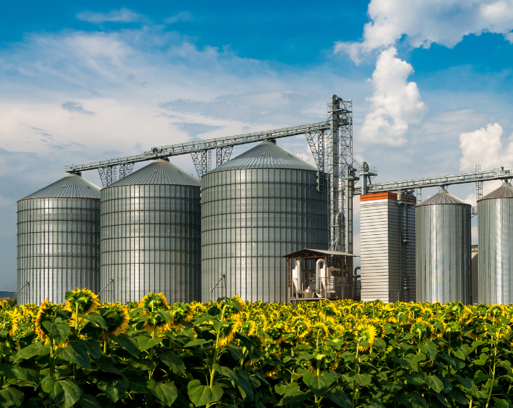 Silo Contamination: Insects, Bacteria & Safe Cleaning for Agribusiness