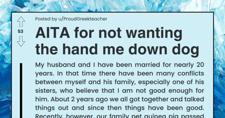 Redditor Refuses “Free Dog” From Sister-In-Law Because It Is Not Breed That He Wanted, Asks If He’s Wrong