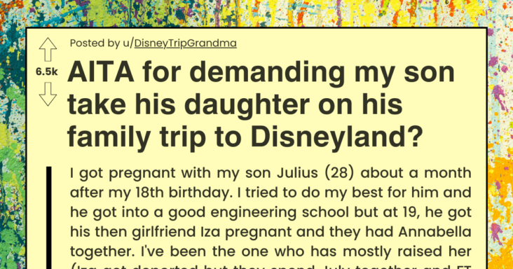 Mother Asks If She’s Wrong For Telling Her Son To Take His Daughter On His Family Trip To Disneyland