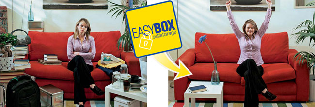 DIY Storage Solutions with EasyBox: Declutter Your Home & Office