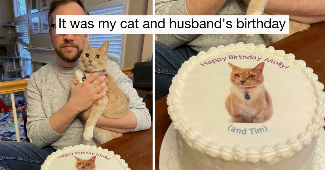 50 Cats That Are Spoiled Because They Deserve To Be