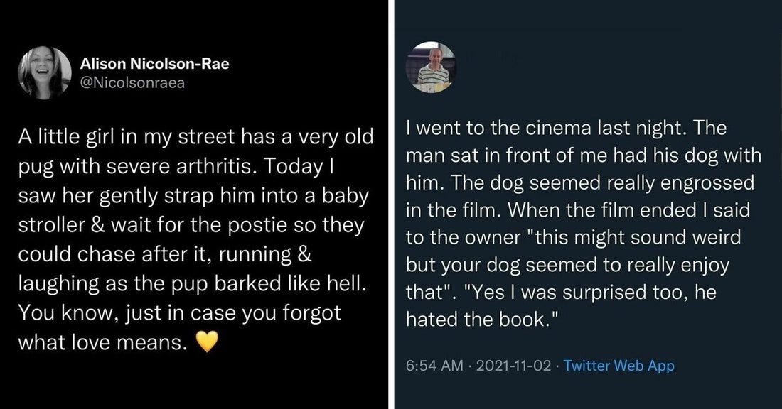 60 Wholesome Posts That Will Make Your Day Brighter