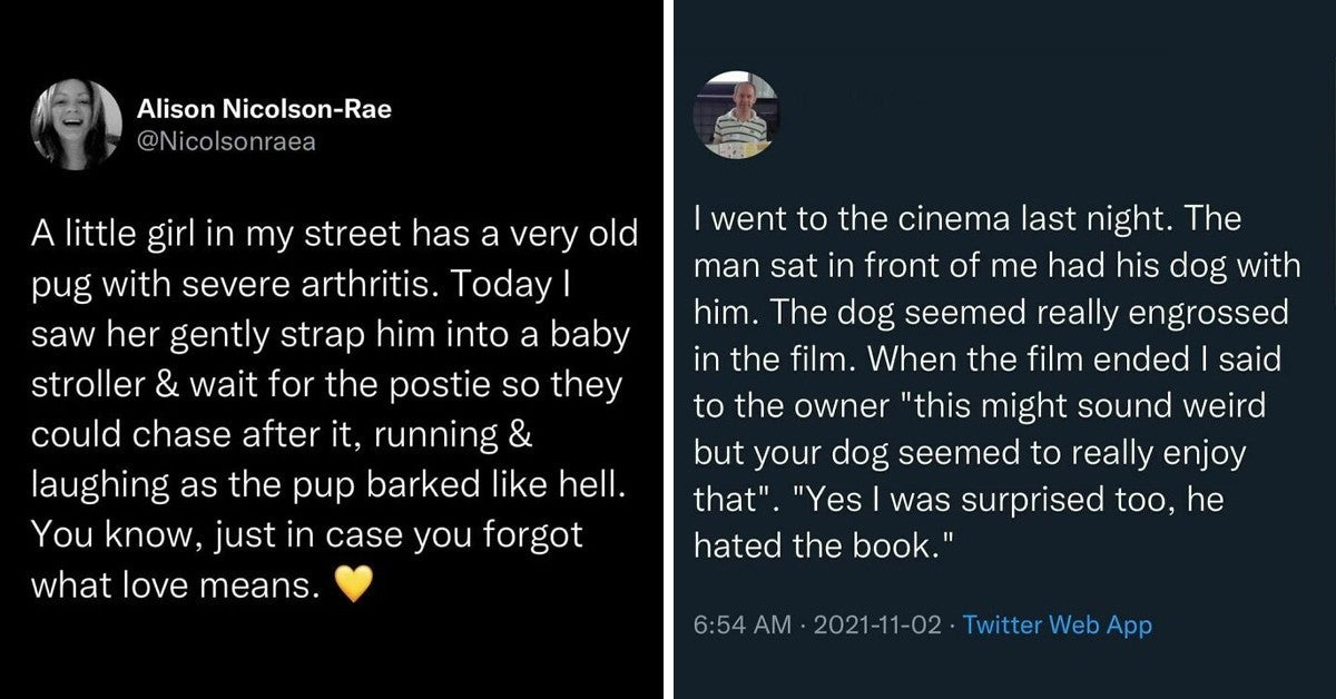 60 Wholesome Posts That Will Make Your Day Brighter