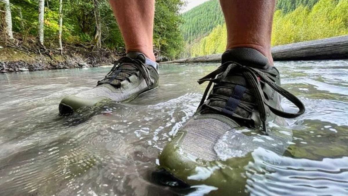 Best Hiking Low Cut Shoes - Grand Goldman