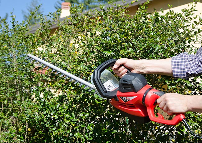 Valex Electric and Manual Hedge Trimmers: A Complete Guide