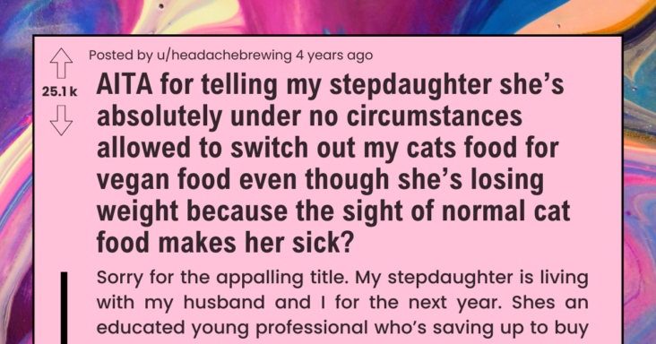 Mother Refuses Stepdaughter’s Request To Feed The Cat Vegan Food, Family Drama Ensues