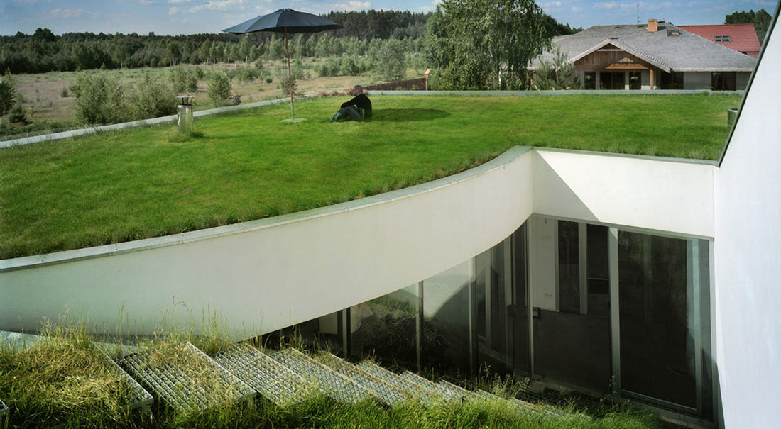 How to Build a Green Roof: Benefits, Types & DIY Guide