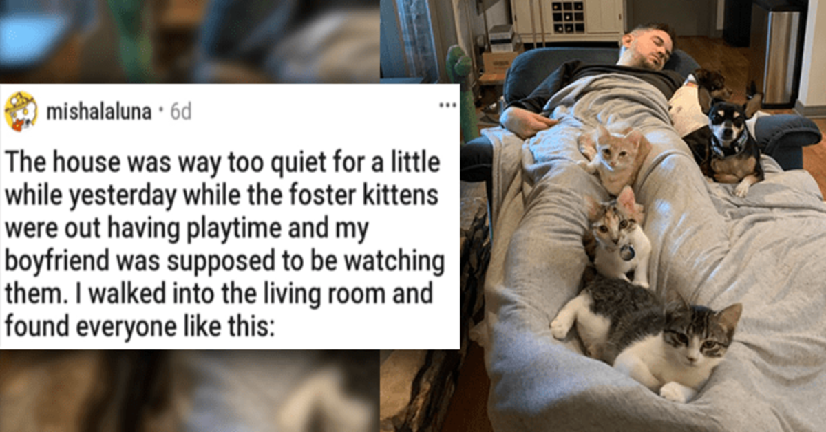 20 Adorable Animals Ready To Bless Your Day