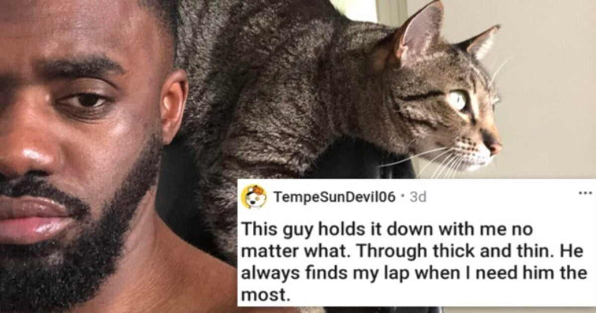 23 Adorable Animals That Can Win Over Even The Harshest People