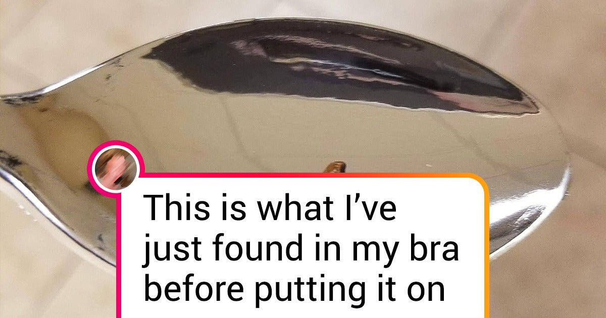 18 Times People Got Uninvited Guests Who Decided To Say “Hello” To Them And It Wasn’t Fun
