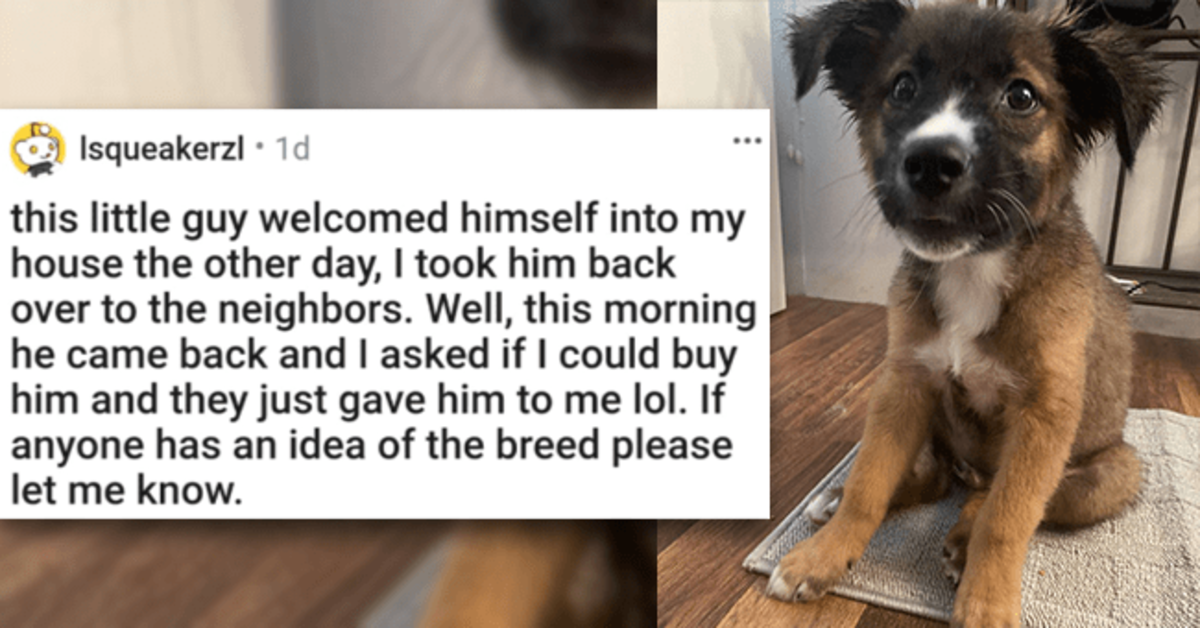 Animals Make World A Better Place And These 20 Images Prove That