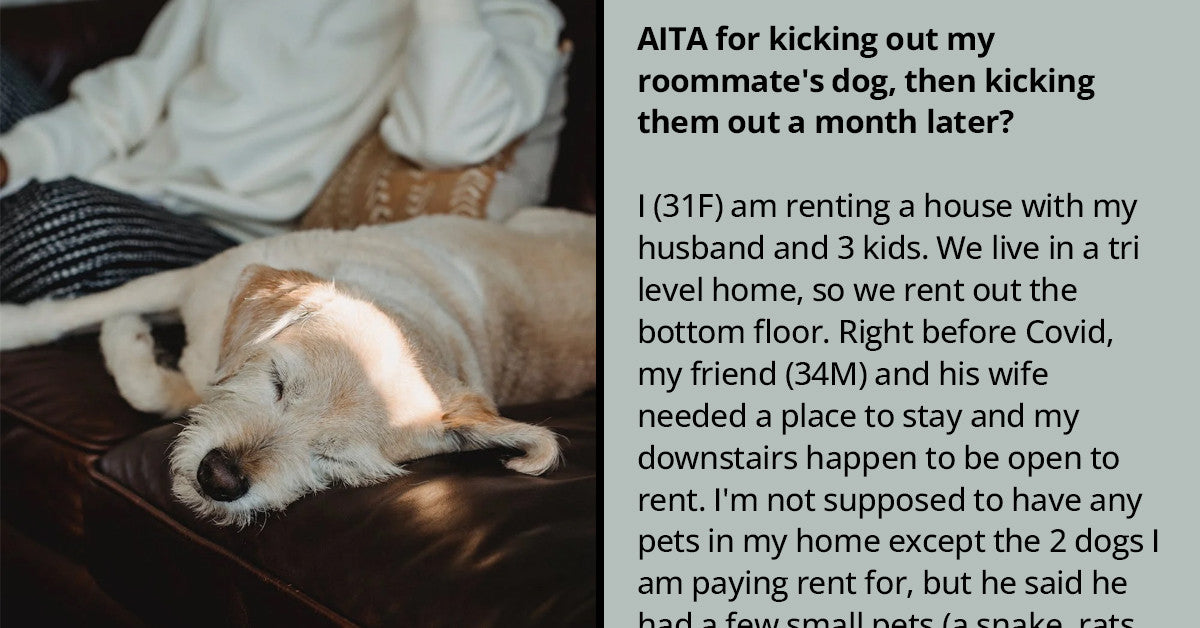 Woman Kicks Her Friends And Their Dogs Out Of Her House After They Refuse To Take Care Of Their Dogs Properly - grandgoldman.com