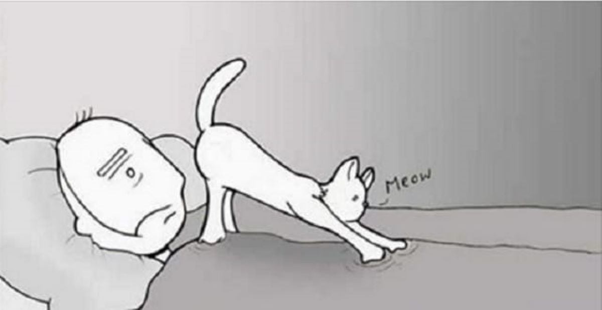 10 Hilarious And Relatable Comics That Purrfectly Sum Up The Life of a Cat Person - grandgoldman.com