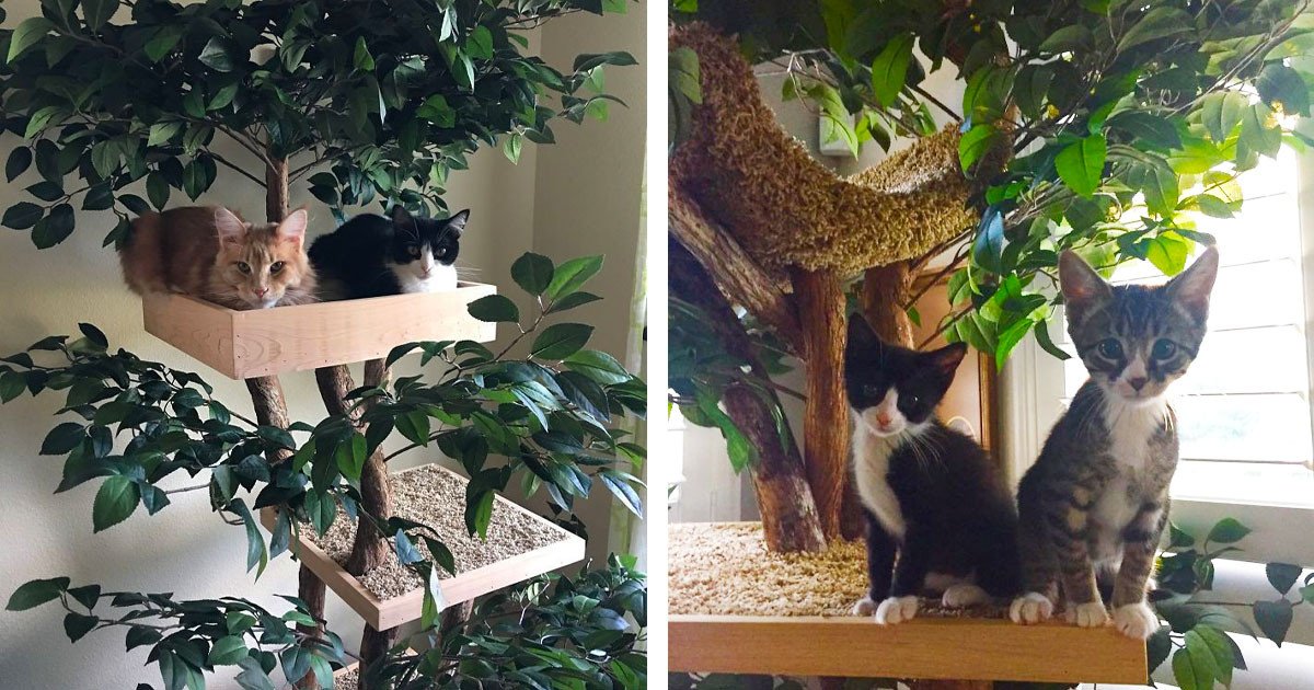 Indoor Pet Treehouses That Look Like Actual Trees That Your Cat Will Love