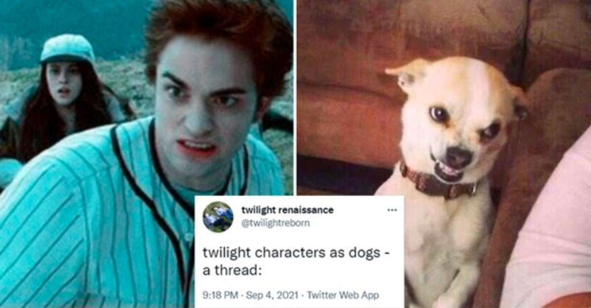Someone Reimagined Dogs As Twilight Characters And It’s Hilariously Spot On - grandgoldman.com