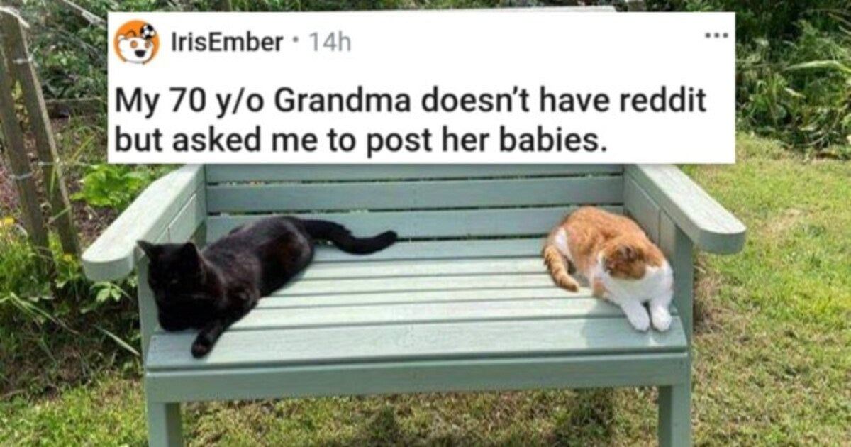 Fresh Collection Of Cuteness And Adorability, Featuring 24 Animals ...