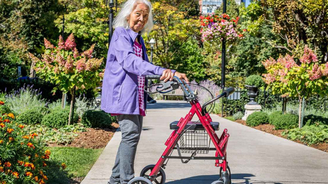 Best Rollator Walker With Seat - Grand Goldman