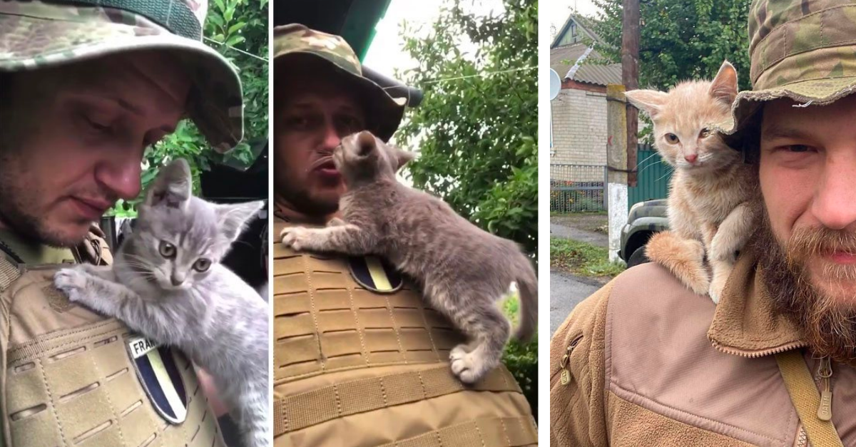 50 Adorable Pictures Of Animals Cuddling With Ukrainian Soldiers
