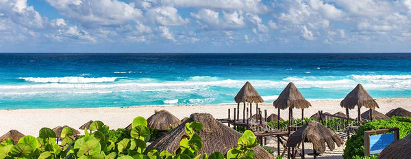 What vaccinations do I need to travel to Mexico?