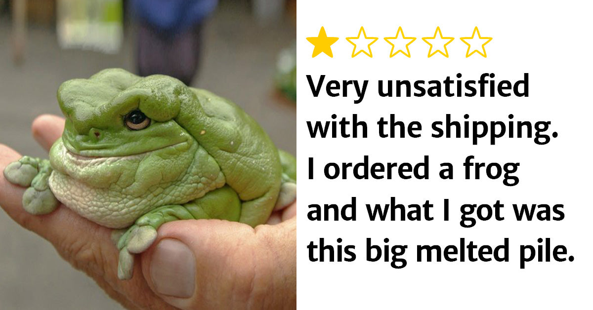 Zoos Are Rating Animals On Twitter As If They Were Ordered On Amazon And We Think They’re Hilarious - grandgoldman.com