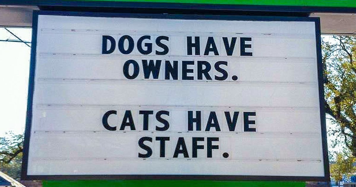 20 Vet Signs To Prove That Working With Animals Brings Out A Lot Of Hilariousness - grandgoldman.com