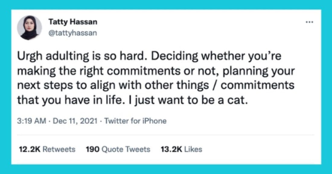 Weekly Dose Of Cuteness And Fun With Best Animal Tweets