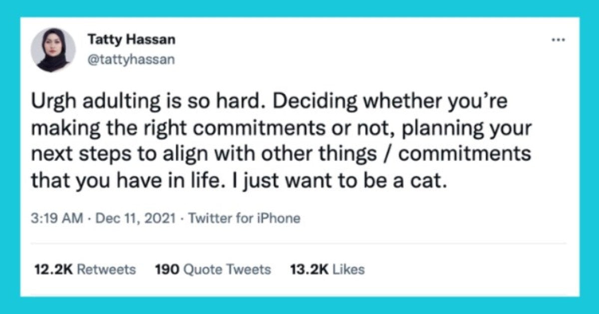 Weekly Dose Of Cuteness And Fun With Best Animal Tweets
