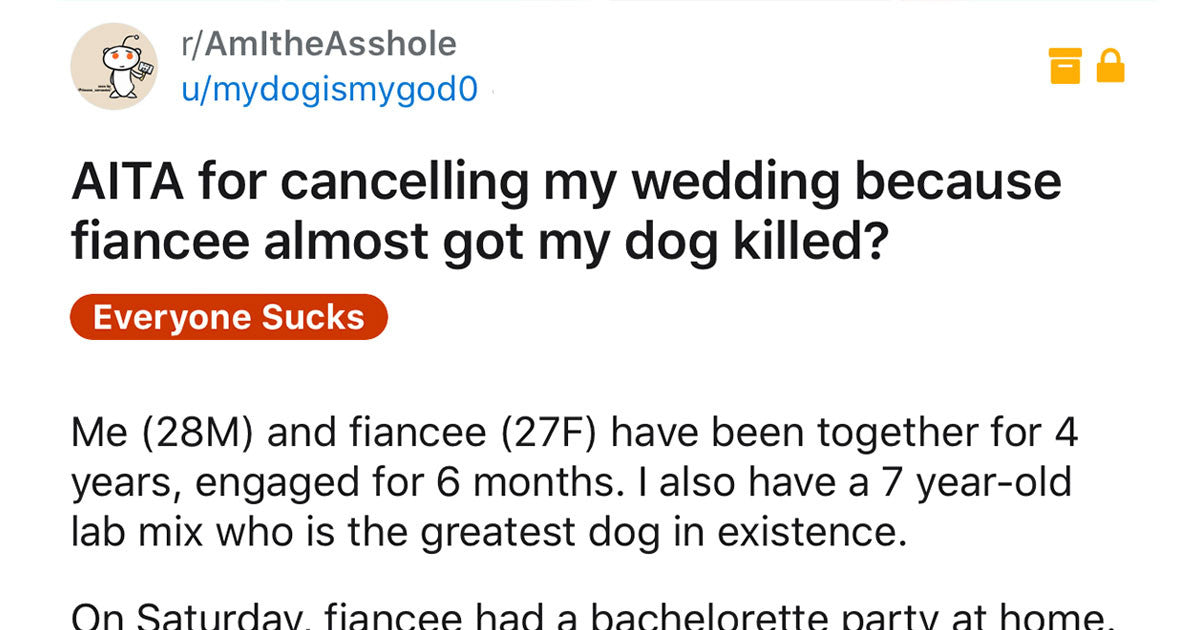 Guy Calls Off Wedding When His Fiance Gets Drunks And Hurts His Dog
