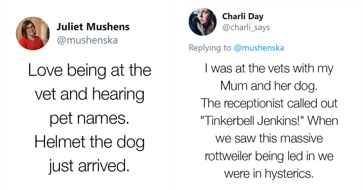 30 People Share The Funniest Pet Names They Overheard At The Vet