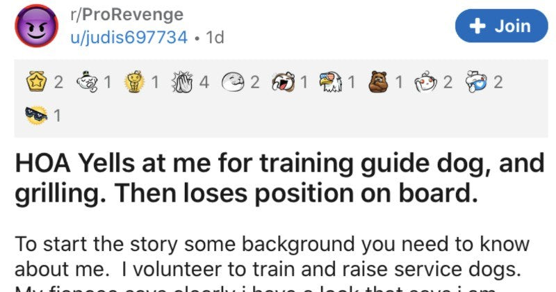 Service Dog Trainer Defeats Karen Who Tried To Play The Victim - grandgoldman.com
