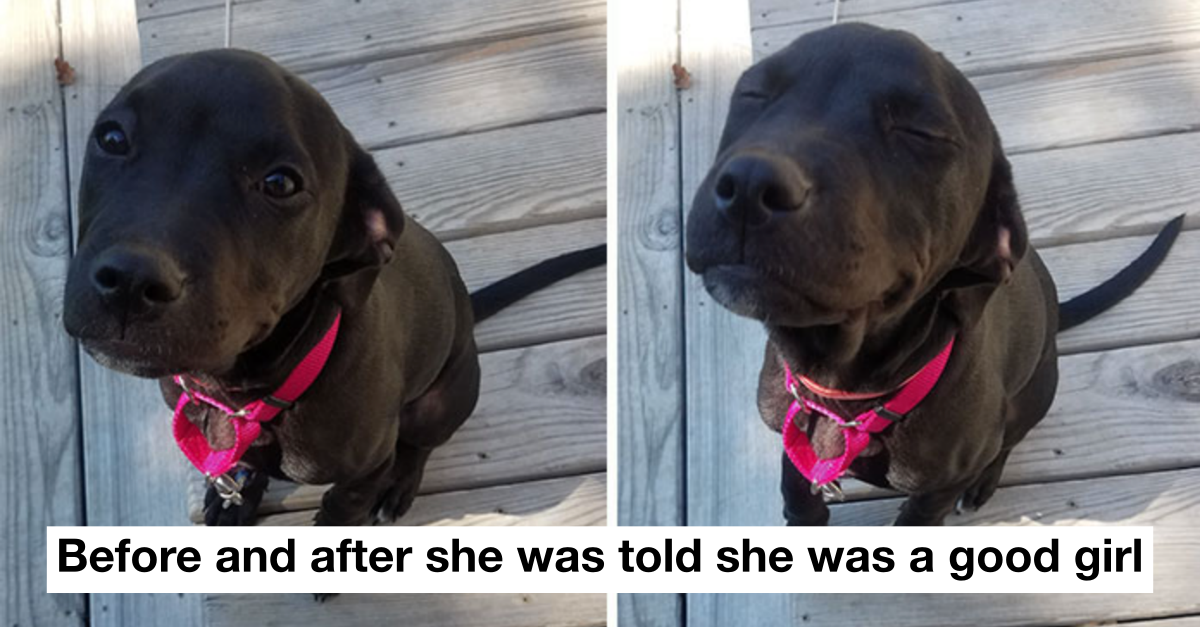 50 Before And After Pictures That Are Incredibly Wholesome That Will Make You Smile
