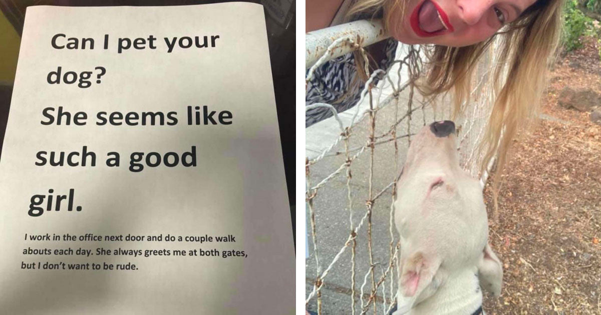 Woman Leaves Note For Neighbours Asking To Pet Their Dog