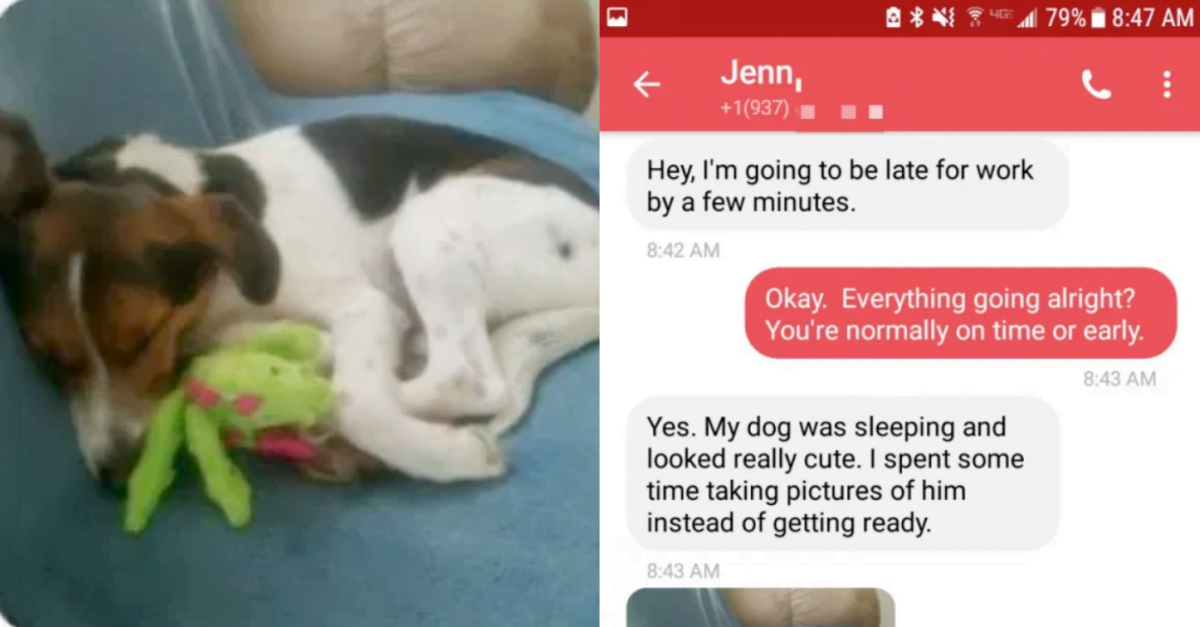 Woman Tells Boss She’d Be Late Because She’s Too Busy Petting Her Dog, Gets Best Response - grandgoldman.com