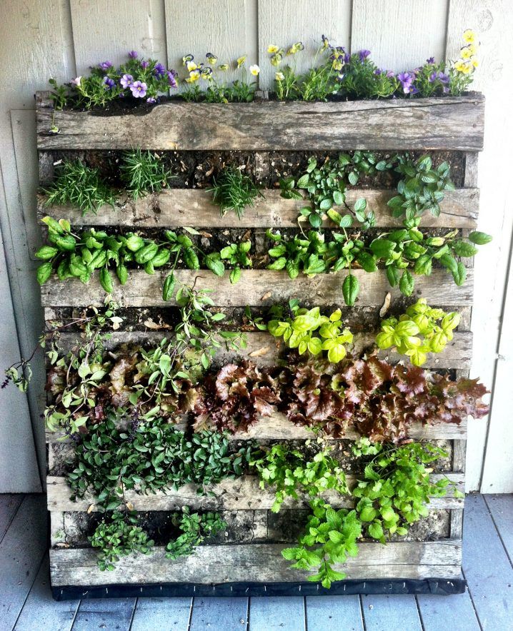 14 Vertical gardens made with wood - grandgoldman.com