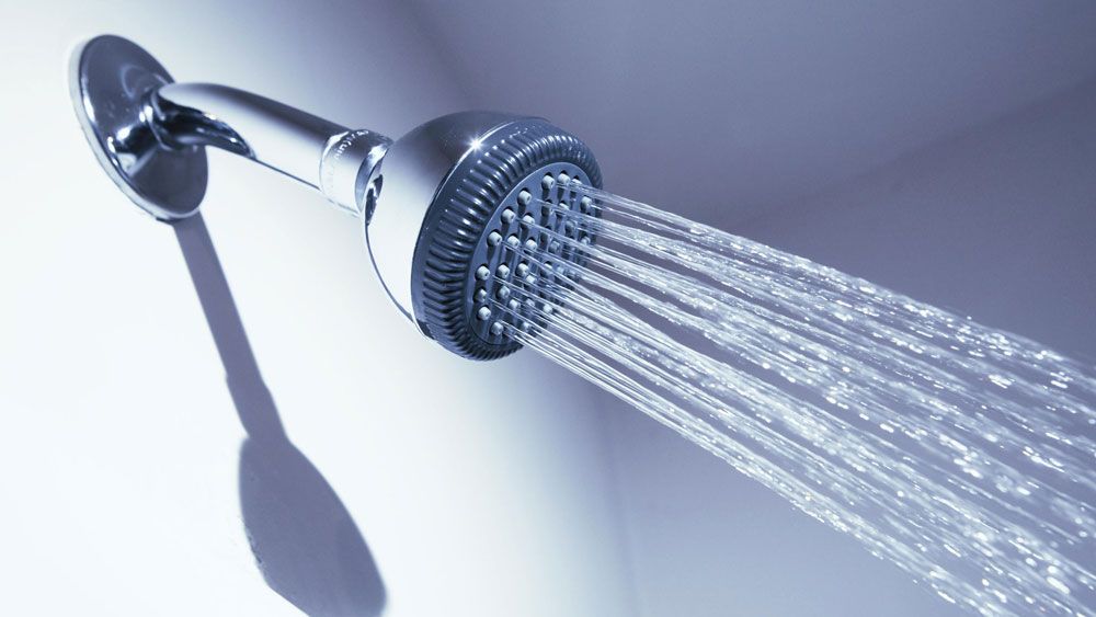 How to Unclog and Clean a Shower Diffuser? - grandgoldman.com