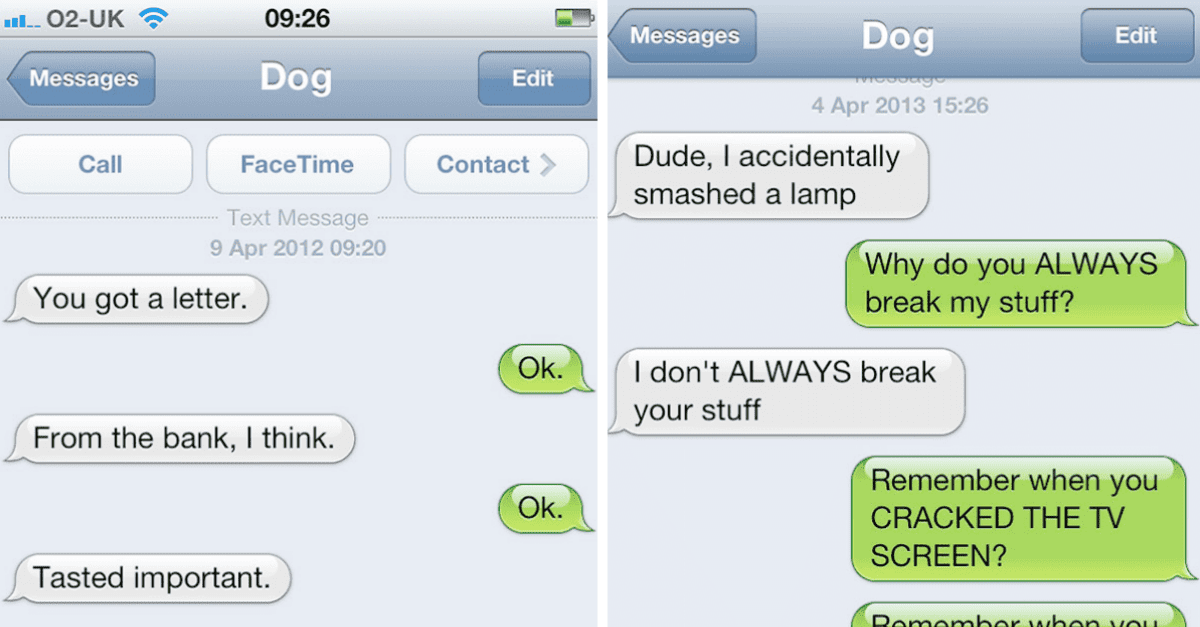 20 Funniest Texts You Would Get If Your Dogs Could Text - grandgoldman.com