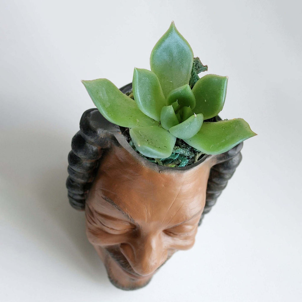 Hip Hop Portrait Personality Succulent Potted Office Home Desktop Pen Holder Storage Small Ornaments