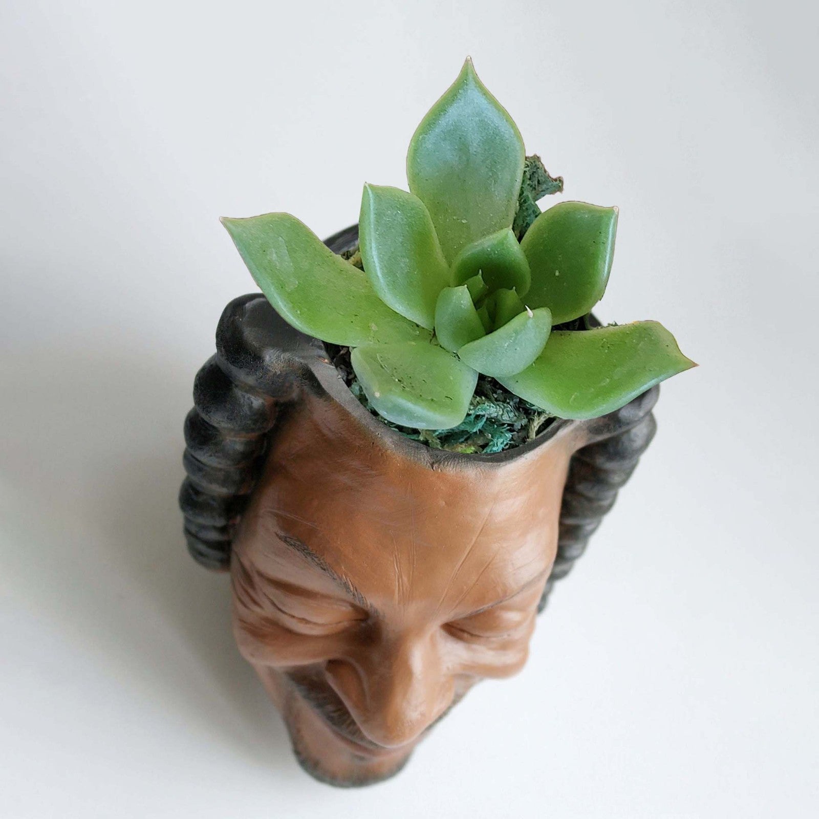 Hip Hop Portrait Personality Succulent Potted Office Home Desktop Pen Holder Storage Small Ornaments
