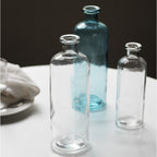 Vaso in vetro per bocca trasparente blu semplice vaso nordico inserito