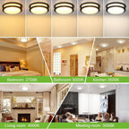 13 inch Flush Mount LED Ceiling Light Fixture, 2700K/3000K/3500K/4000K/5000K Adjustable Ceiling Lights, Oil Rubbed Bronze Saturn Dimmable Lighting for Bathroom Kitchen, ETL Listed - 2 Pack - Grand Goldman