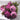 13 Core-spun Peony Decorative Flowers Artificial Flowers Artificial Flowers